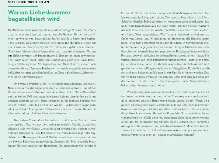 Produktbild Liebeskummer bewältigen in 99 Tagen (Deutsch, Michèle Loetzner, 2020)