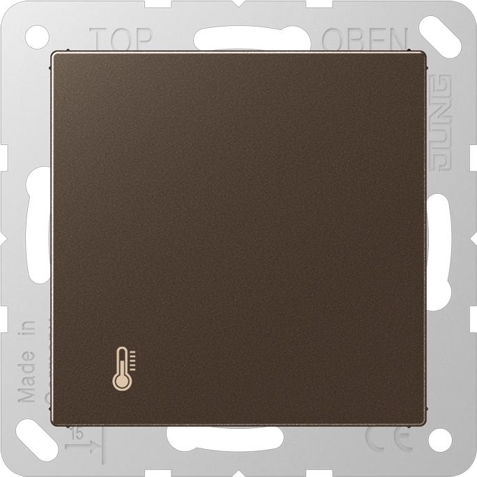 Actual product image JUNG A2178ORTSMO