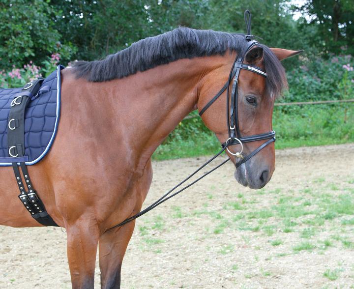 Actual product image Kerbl Neck extender