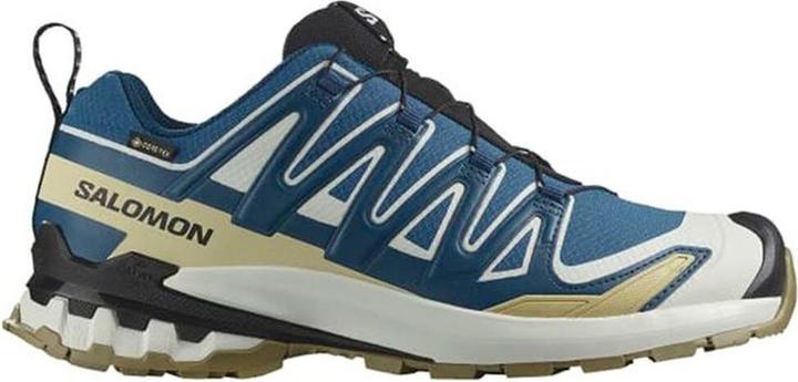 Actual product image Salomon Herren XA Pro 3D v9 GTX Laufschuhe (42 2/3)