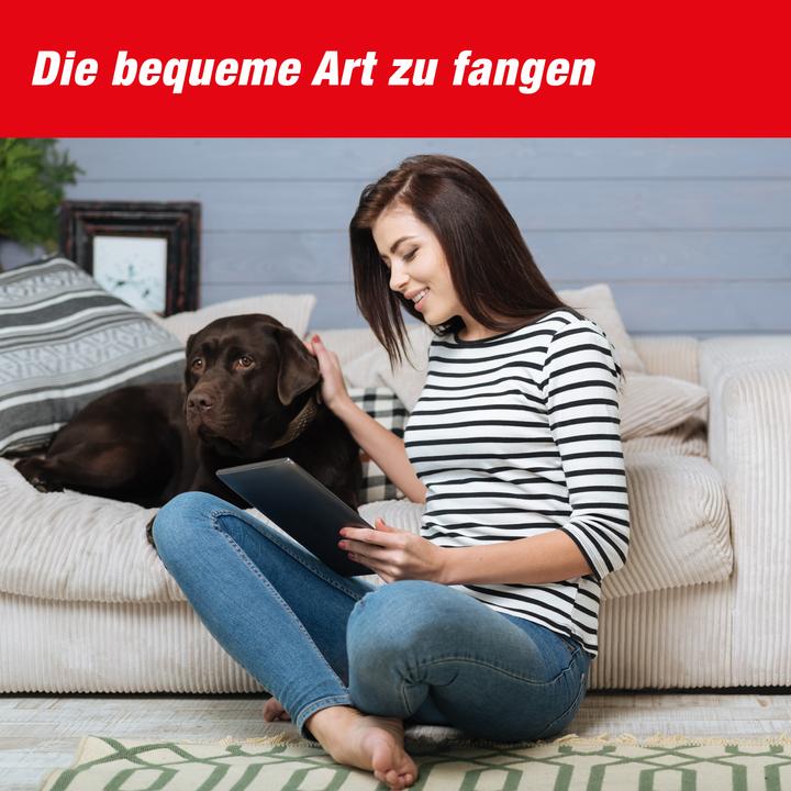 Image du produit Super Cat Ersatz-Köder Spritzen SuperCat 4er für Mause- & Rattenfallen