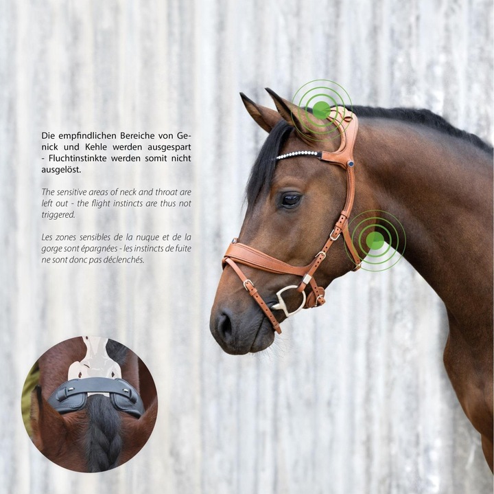 Produktbild Stübben Zaum Freedom II Magic Tack mit Slide&Lock