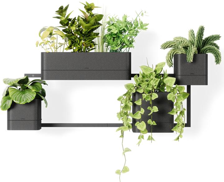 Actual product image Umbra Cubiko planter 41 x 21 x 23 cm (41.90 x 20.70 x 23 cm)