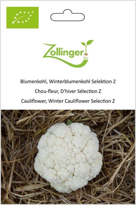 Image du produit Zollinger Bio Choux-fleurs, choux-fleurs d'hiver Sélection Z (Plante bulbeuse)