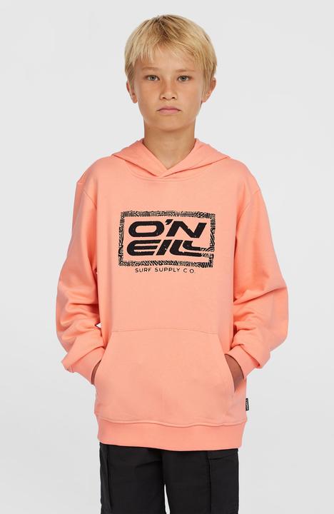 Image du produit O'Neill Logo Hoodie (164)