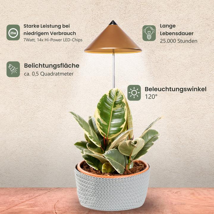 Immagine prodotto Colibri Sunlite (LED, 230 V)