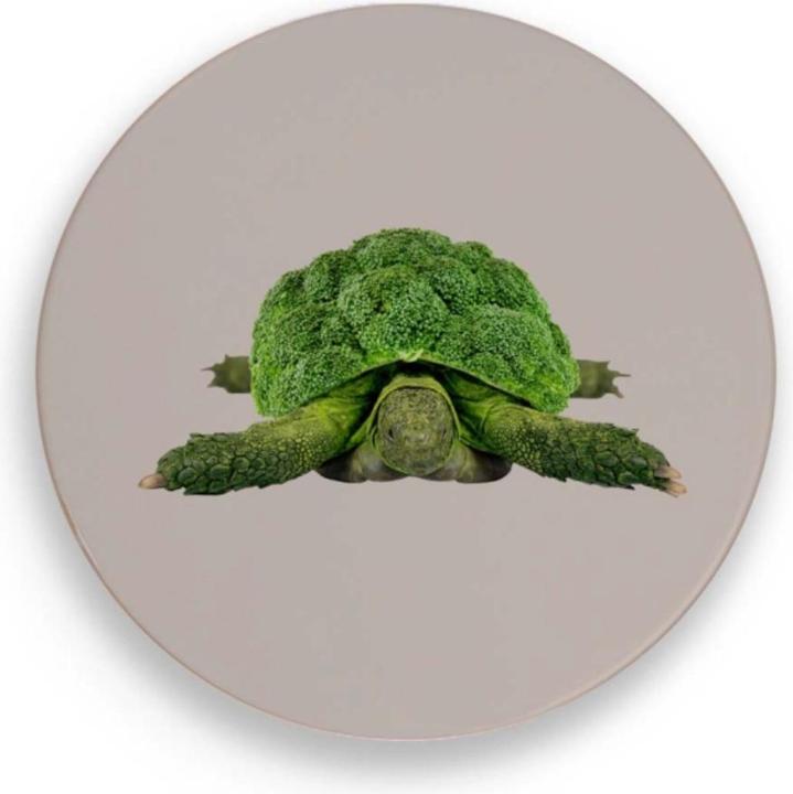 Produktbild Easy Life Untersetzer Schildkröte D18cm Keramik