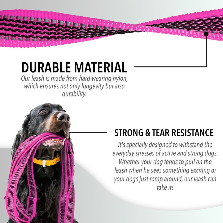Actual product image Bluzelle 3m dog lead, double lead with carabiner, adjustable (Dog)