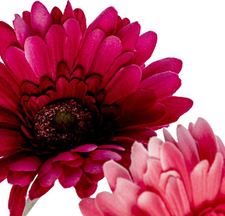 Productafbeelding DPI Gerbera (56 cm)