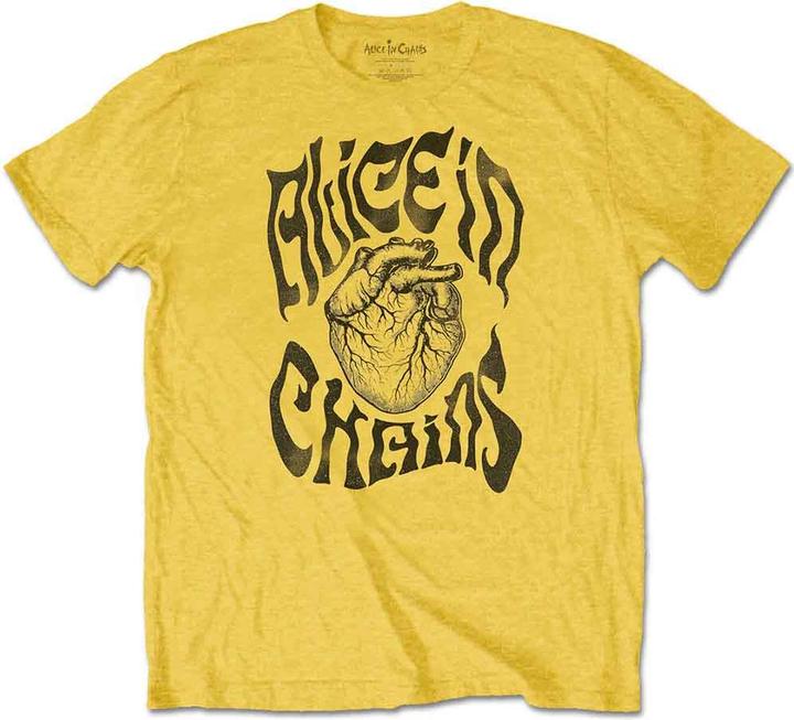 Alice In Chains Transplant