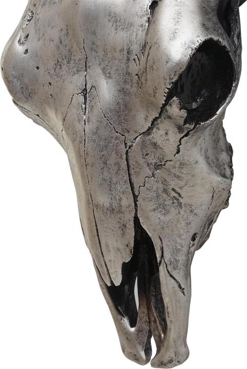 Image du produit Swisshandel24 Crâne de taureau (42 x 15 x 45 cm)