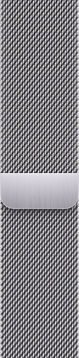 Immagine prodotto Apple Loop (45 mm, Acciaio inox, Apple Watch Series 7, Apple Watch Series 8, Apple Watch Series 9)
