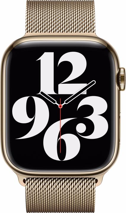 Actual product image Apple DUPLIKAT Loop (45 mm, Stainless steel)