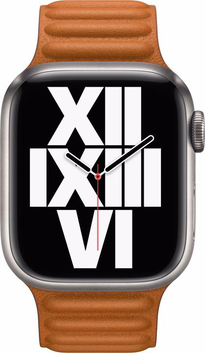Produktbild Apple Leather Link (41 mm, Granada Leder, Apple Watch Series 7, Apple Watch Series 9, Apple Watch Series 8)
