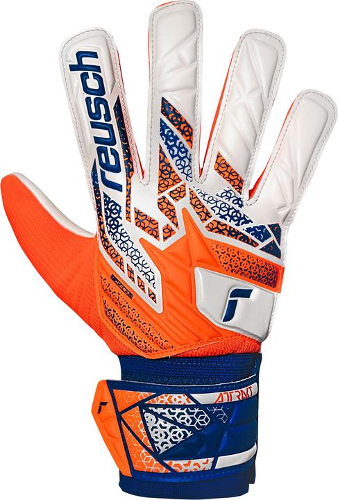 Produktbild Reusch Attrakt Starter Solid Torwarthandschuhe