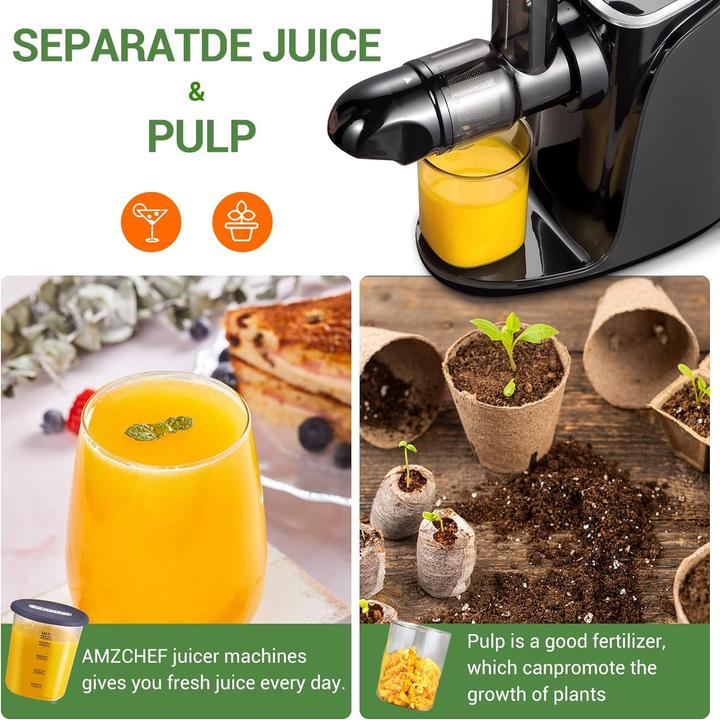 Actual product image Amzchef GM3001
