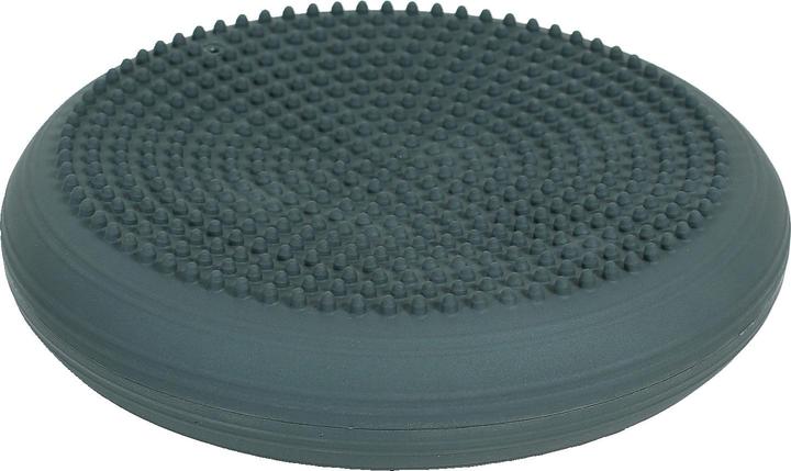 Produktbild Togu Dynair Ballkissen Senso 33 cm