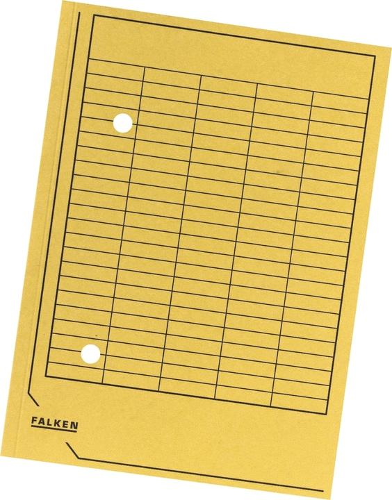 Image du produit Falken Dossier de circulation (A4, 1x)