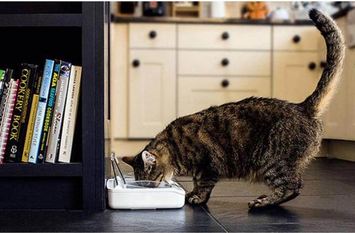 Actual product image SureFeed Food dispenser (0.40 l)