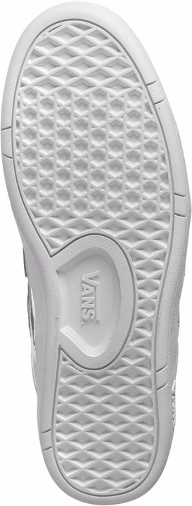 Actual product image Vans Lowland CC (40)