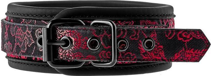 Image du produit Blaze Collier et laisse de luxe