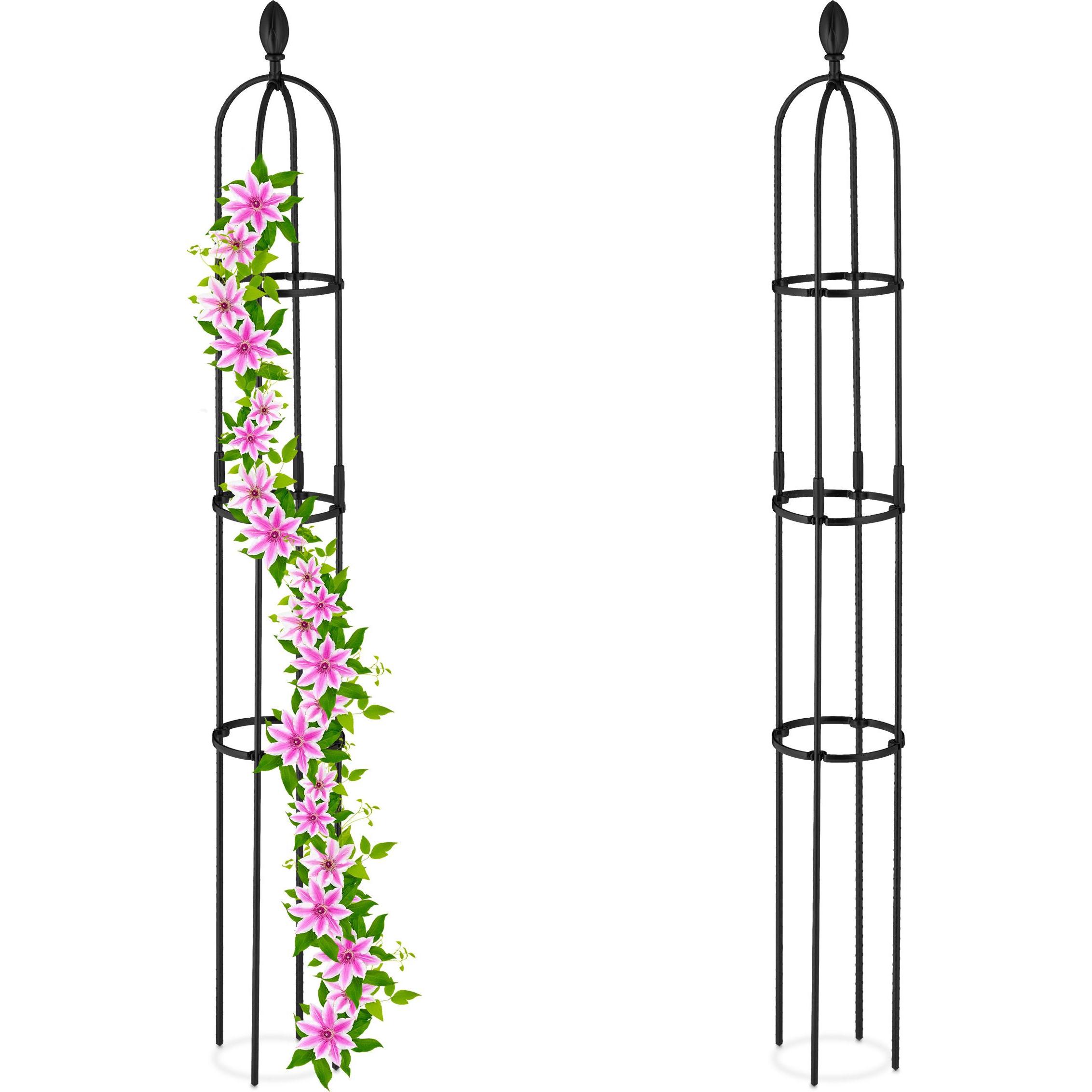 Relaxdays, Pflanzen Zubehör, 2x Rankhilfe (20 cm, 20 cm)