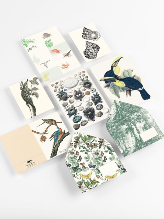 Produktbild Van Roojen:Natural History (Französisch, Englisch, Pepin Van Roojen, 2024)