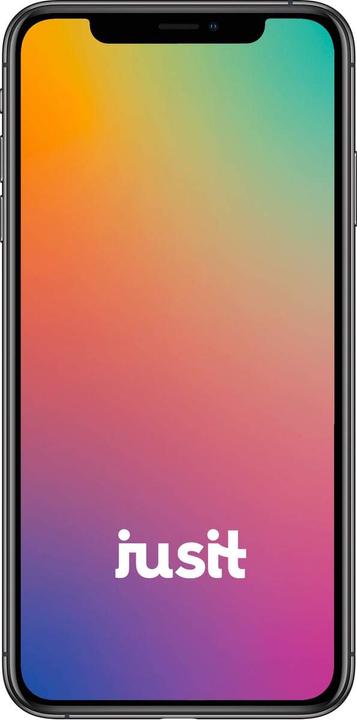 Actual product image jusit Apple iPhone XS Max Dual SIM 256GB Space Grey Refurbished B (256 GB, Space grey, 6.50", B / Very good)