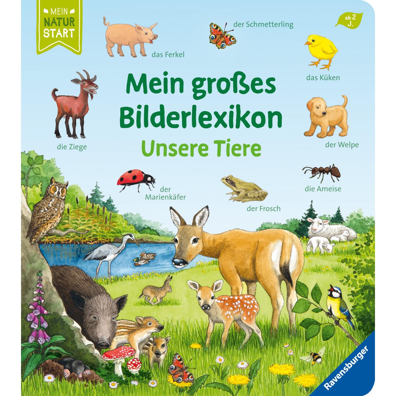 Mein grosses Bilderlexikon: Unsere Tiere, Kinderbücher von Susanne Gernhäuser, Anne Ebert