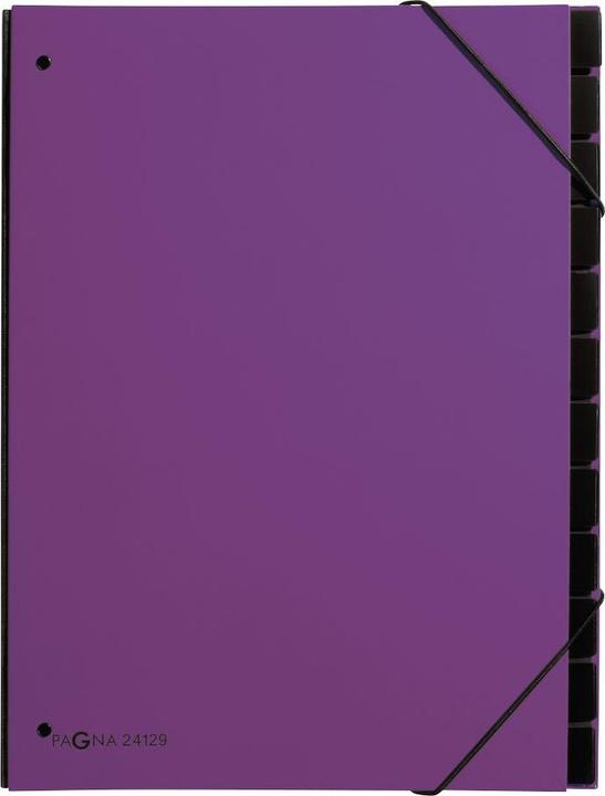 Image du produit Pagna Tendance des dossiers de bureau (A4, 1x)