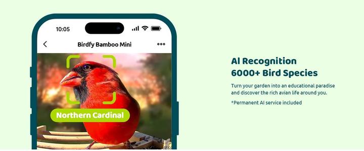 Produktbild Birdfy Futterspender FSC Bambus Mini Solar