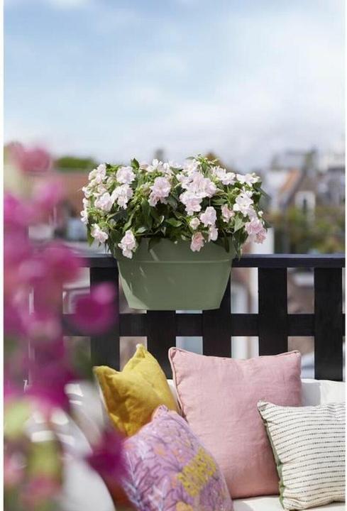 Immagine prodotto Elho Vibia Campana Flower Bridge (39 x 26 x 22 cm)