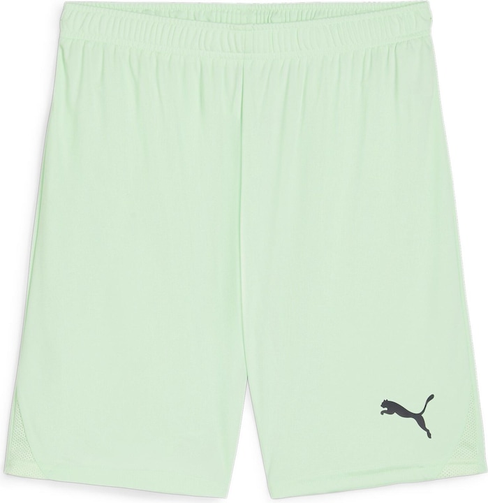 Actual product image Puma teamGOAL shorts (XL)