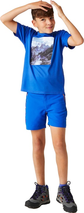 Actual product image Regatta Childrens/Kids Alvardo VIII Mountain T-Shirt (164)