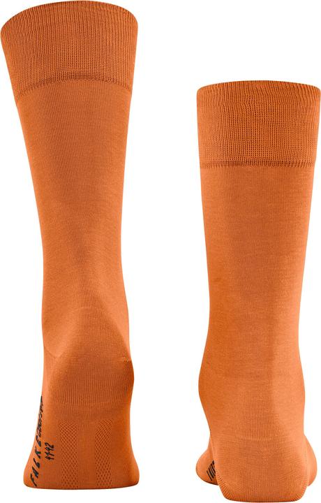 Produktbild Falke Cool 24/7 (Einzelpack, 41 - 42)
