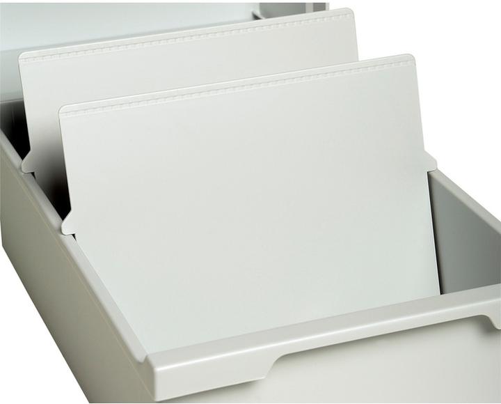 Exacompta Separator plate (A4)
