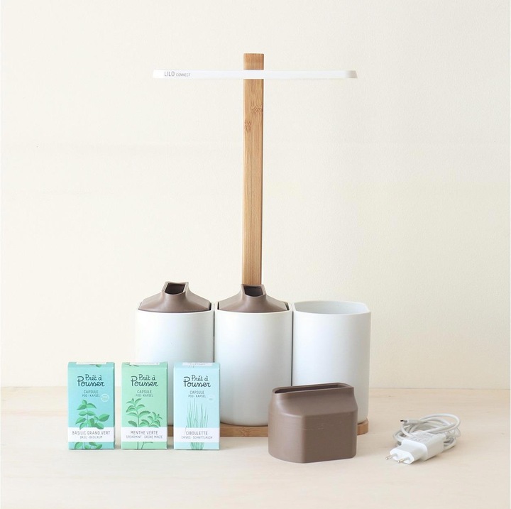 Produktbild Prêt à Pousser Lilo Connect (13.50 cm)
