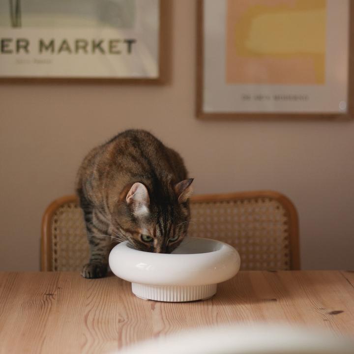 Image du produit LucyBalu MYCO Katzennapf
