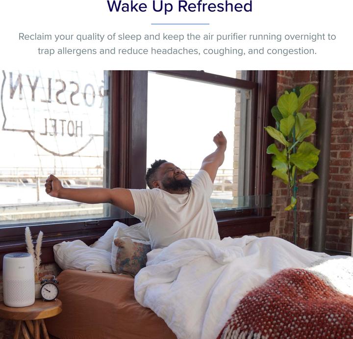 Actual product image Levoit Core Mini (20 m²)