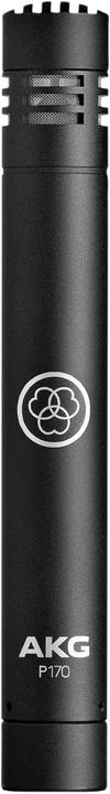 Produktbild AKG Pro P170