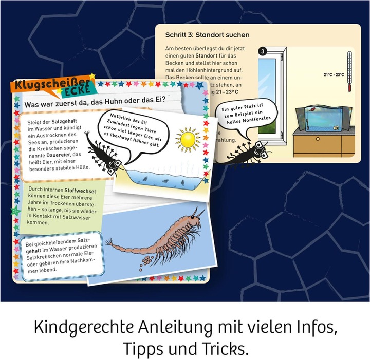 Produktbild Kosmos FunScience Wuselnde Salzkrebse