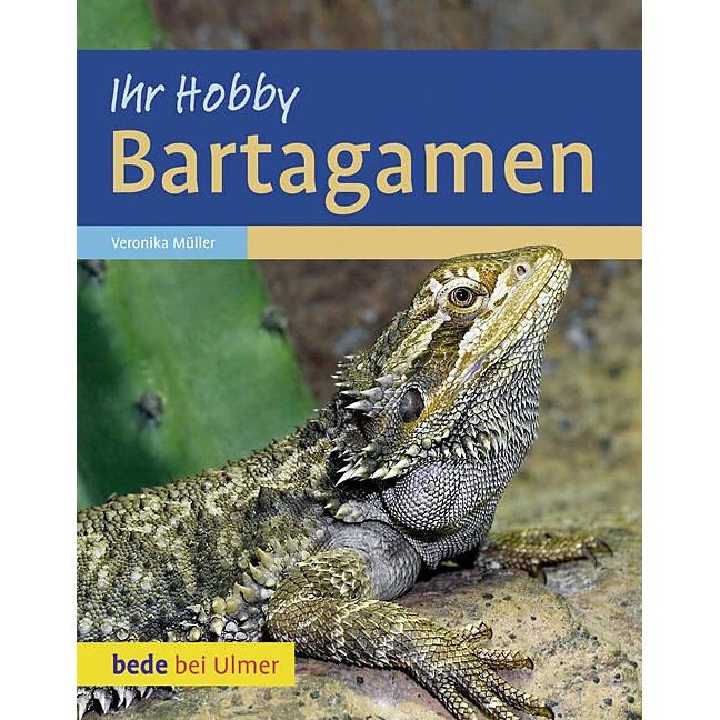 Bartagamen, Ratgeber von Veronika Müller