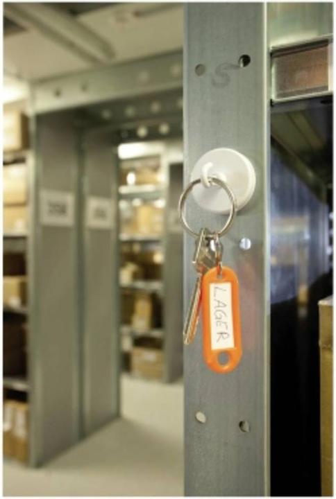 Actual product image Magnetoplan Hook magnet (1x)