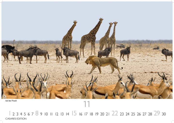 Produktbild Namibia 2026 L 35x50cm