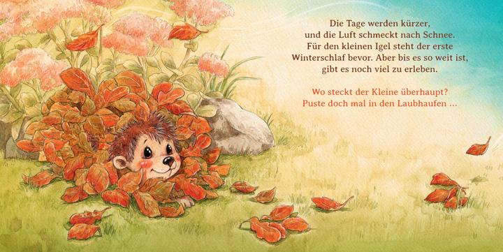 Immagine prodotto Schlaf schön, kleiner Igel (Mini-Ausgabe) (Tedesco, Sophie Schoenwald, 2021)