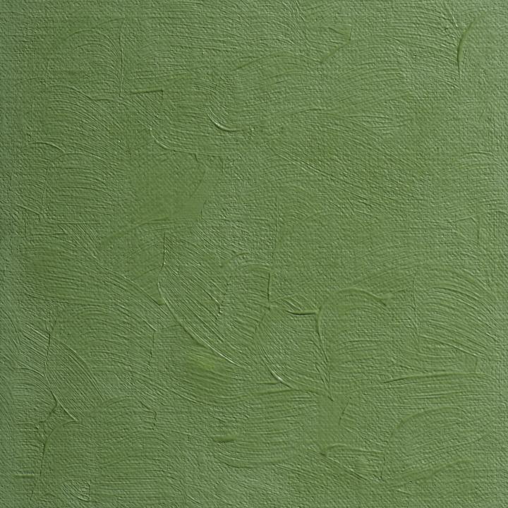 Image du produit BlockX - Vert lamoriniere (200 ml)