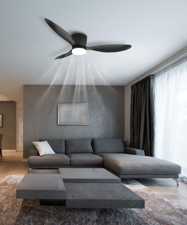 Actual product image Globo Armando (42.45 dB)