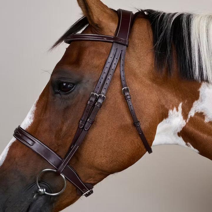 Image du produit Dy'on Cavesson Hunter US Collection