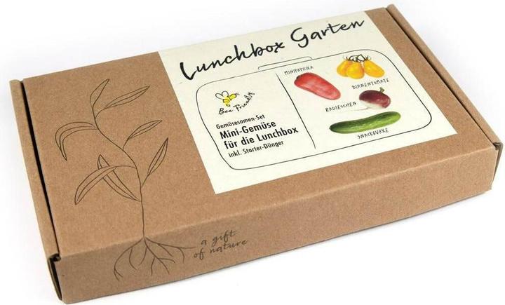 Produktbild Naturkraftwerk Anzucht Lunchbox Garden, 4 Sorten Mini-Gemüse