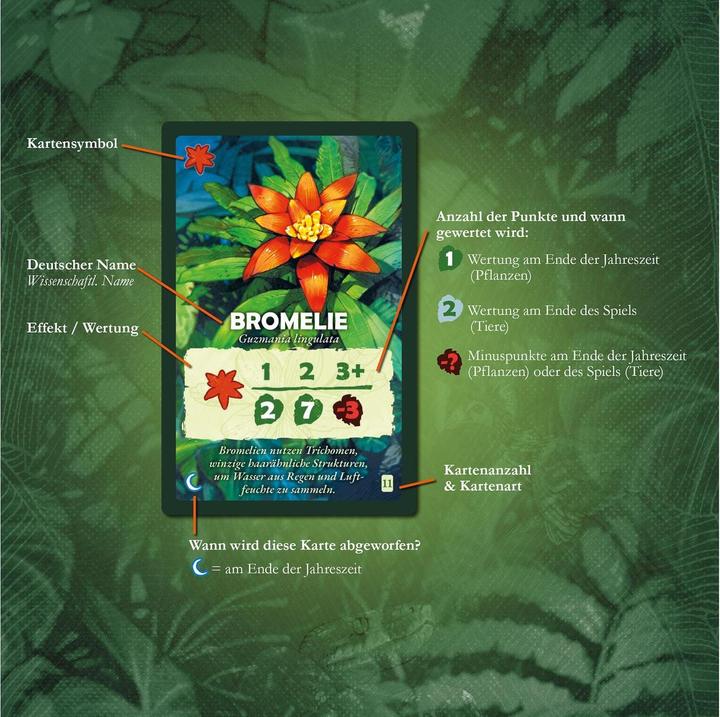 Actual product image Kosmos Tree tops, d (German)